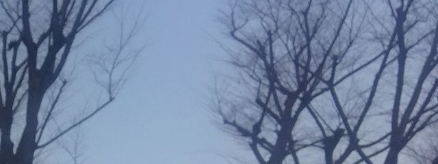 ひすいさんの壁紙画像