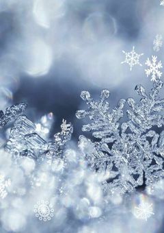 《完結》お兄ちゃん、愛してっ、