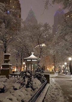 《完結》引き取られた私。