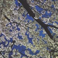 優さんのアイコン画像