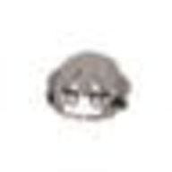 右翼さんのアイコン画像