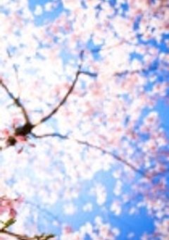 運命の人になりたい