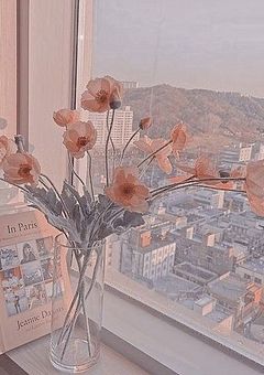 SVTとソロシンガー