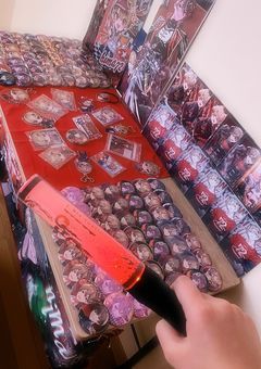 グッズ晒し部屋( ᐛ )
