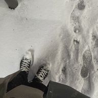 Linさんのアイコン画像