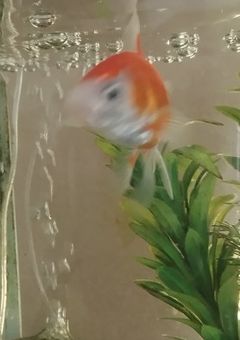 やったぁぁぁぁ😭