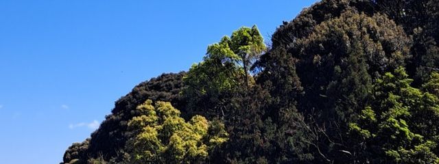 ワンピのBL部屋さんの壁紙画像