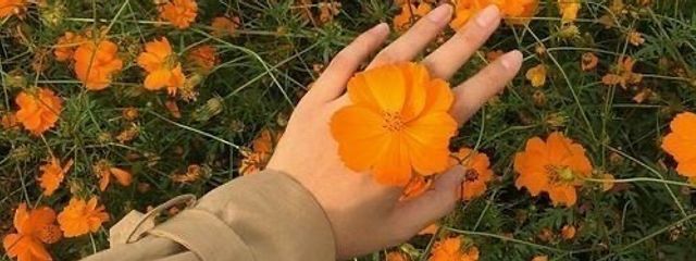 すず🐑🧩さんの壁紙画像