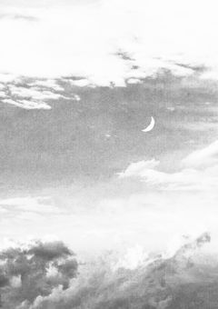 詐欺師兼アイドル