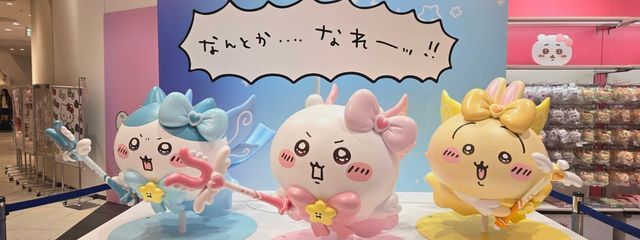 이심채_isfp🥀✨さんの壁紙画像