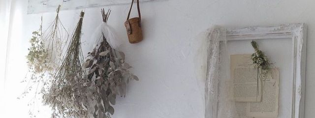 美雪さんの壁紙画像