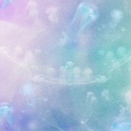 YUME.YUNAさんのアイコン画像