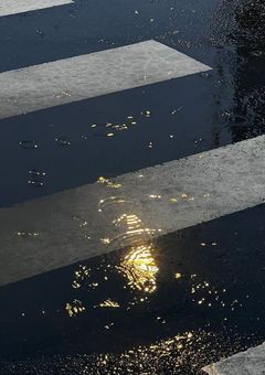 ホストと社畜