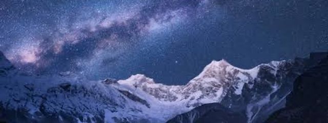 海鮮丼さんの壁紙画像