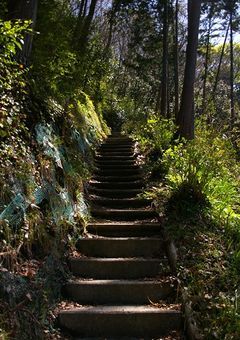 妖祓いと九尾の謎は《参加型》