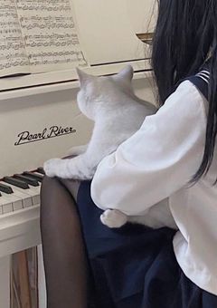 好きになっちゃいけない　って分かってたけど　。