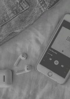 突 如 , 姿 を 消 し た __ __ 。