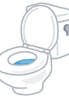 トイレに頭を突っ込むヤバい奴