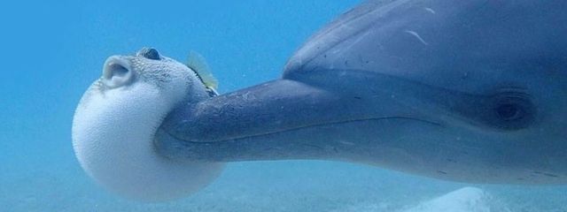 ポンきち𓂃 𓈒𓏸𑁍さんの壁紙画像