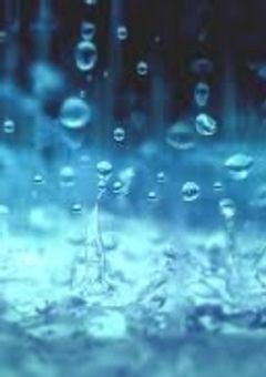 ごめんなさい……