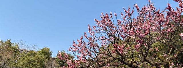 PBさんの壁紙画像