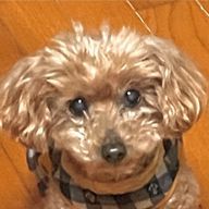 PBさんのアイコン画像