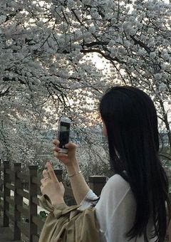私が消えるその日まで_______