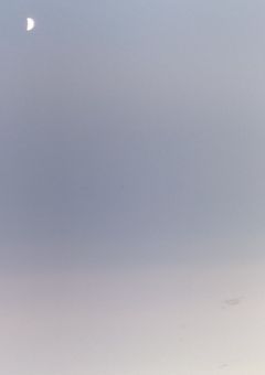 【🎲】反応集＆短編集