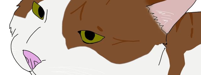 晴れさんの壁紙画像