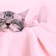 ❤︎さんのアイコン画像