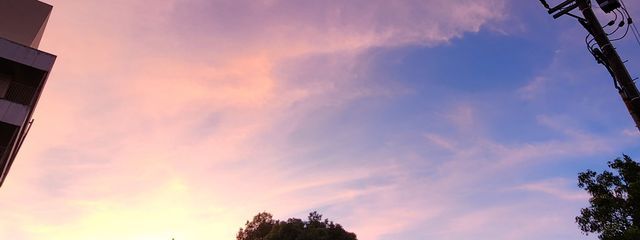 미오 🤖🍚🐸さんの壁紙画像