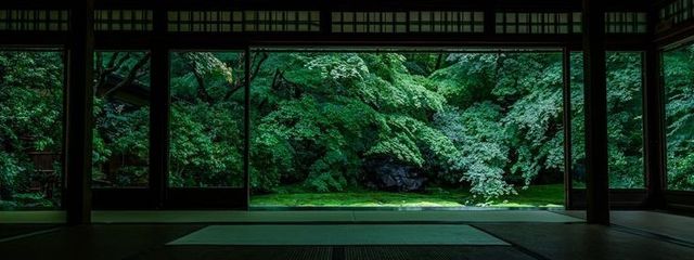 蝶さんの壁紙画像