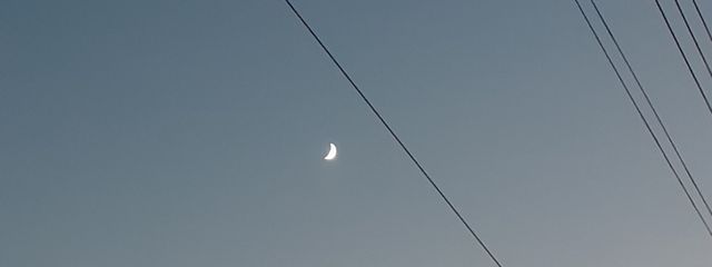 とんかちさんの壁紙画像