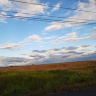 とんかちさんのアイコン画像