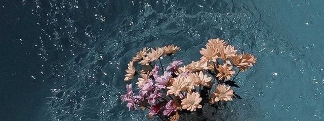 riさんの壁紙画像