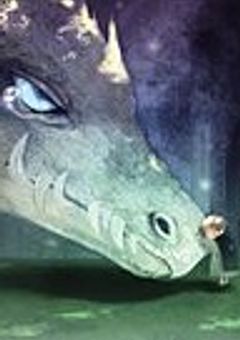 転生したらドラゴンになっていました