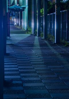 何故かヤンキー高に通うことになりました