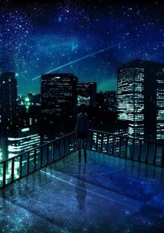 私僕達は怪盗団