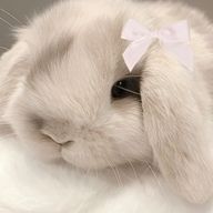 ななめうえさんのアイコン画像