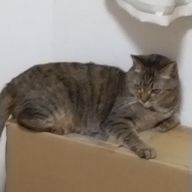 barさんのアイコン画像