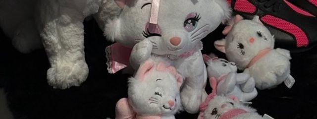 🐻‍❄❤️さんの壁紙画像