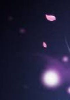 病んでいる子と兄は有能なのか？