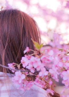 生まれ変わっても、あなたのワンコ▼･ェ･▼