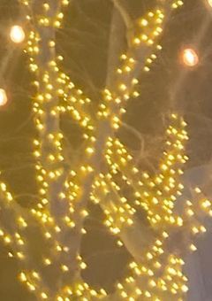 3Zキャラとエロいことしませんか。