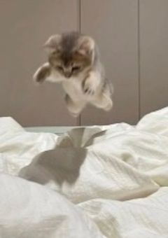 ʚ　イ　ラ　ス　ト　ɞ