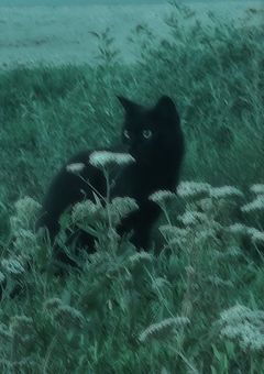 愛語り 💌𓂃𓈒𓂂𓏸