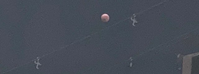なつ🌙🫧さんの壁紙画像