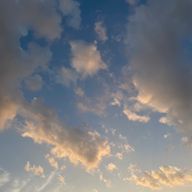 こおるさんのアイコン画像