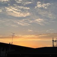 来世は推し達の胸板さんのアイコン画像