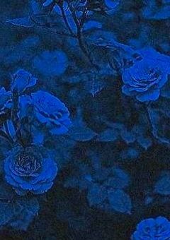 愛 さ れ つ ー ち ゃ ん